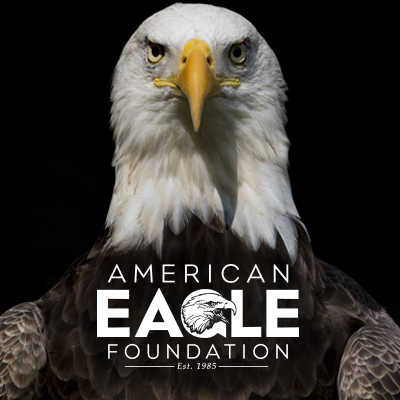 The American Go Foundation