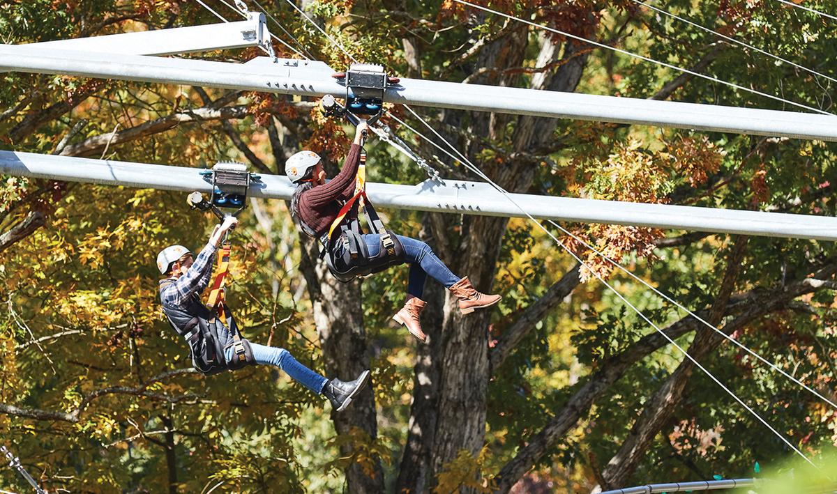 Ripley s Mountain Coaster