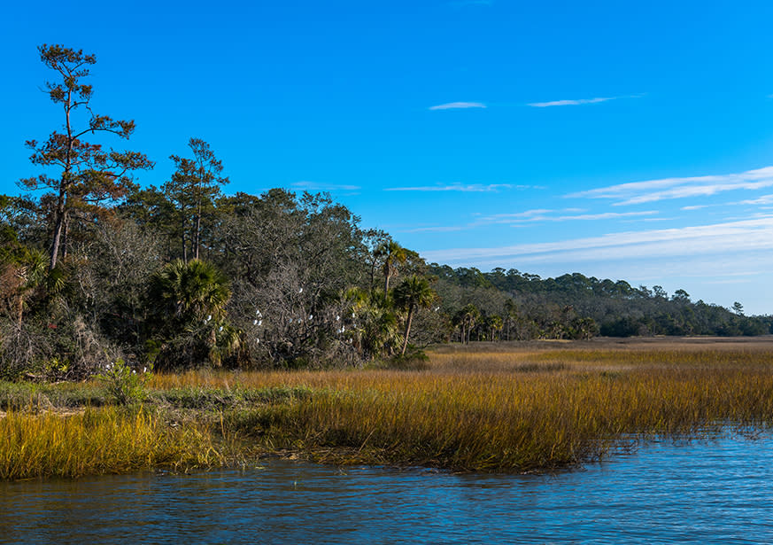 Blythe Island Regional Park & Campground