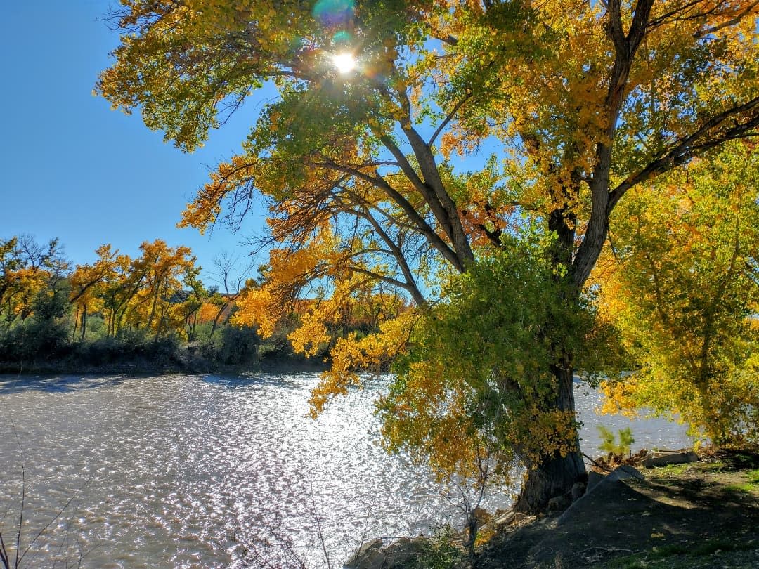 Riverbend Example Riverbend Park | Palisade, CO