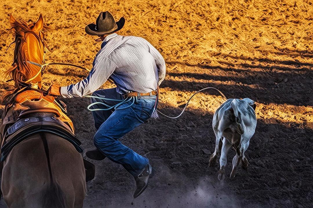 Colorado Stampede Rodeo