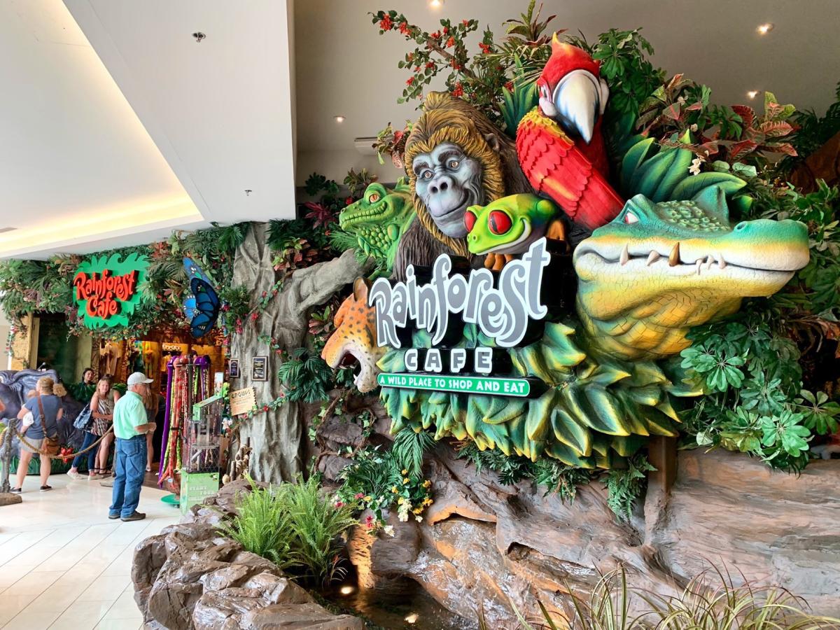 Rainforest Cafe - Can YOU guess which #classic location this is?