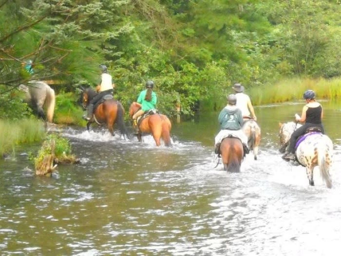 Goose Creek Trail Camp