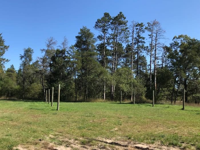 Goose Creek Trail Camp