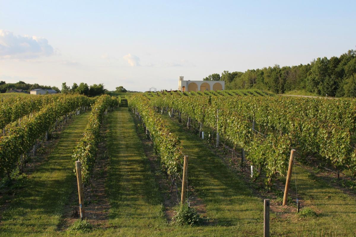 LP) CAPITAL LETTERS - VINYARD