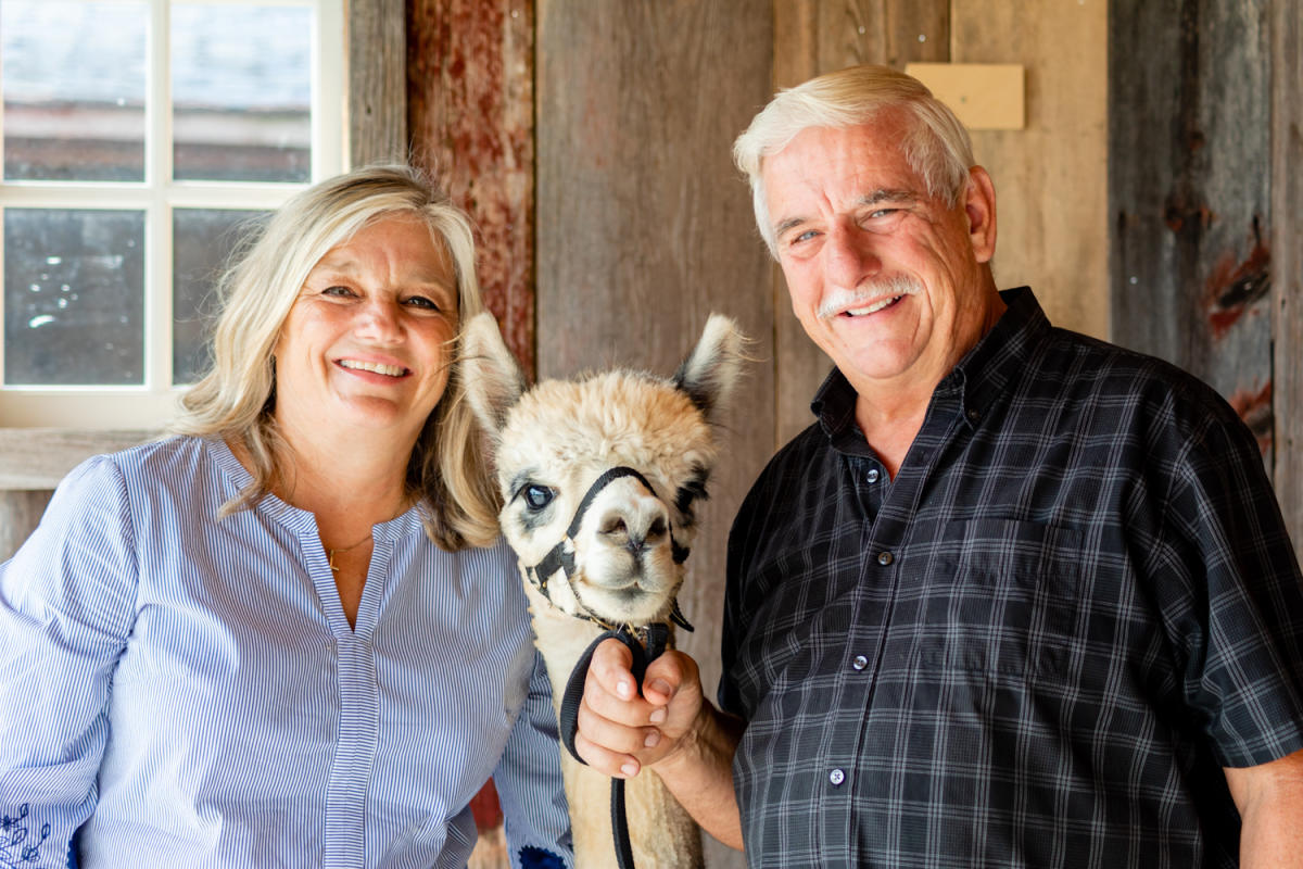 ペ*ロ様 KAPTAIN SUNSHINE Alpaca Boa Ranch J ペ*ロ様 KAPTAIN SUNSHINE Alpaca Boa Ranch J KAPTAIN SUNSHINE