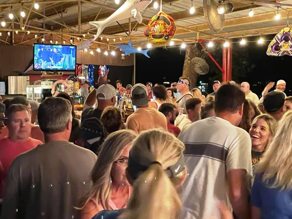 hammerhead shark grill photos