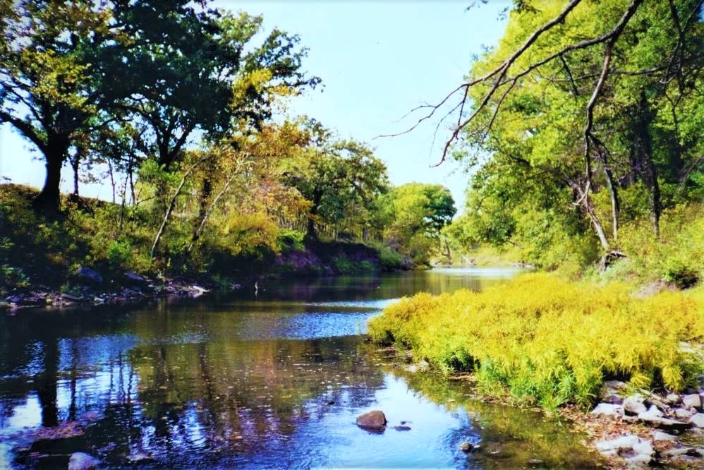 Wildlife Areas along Streams
