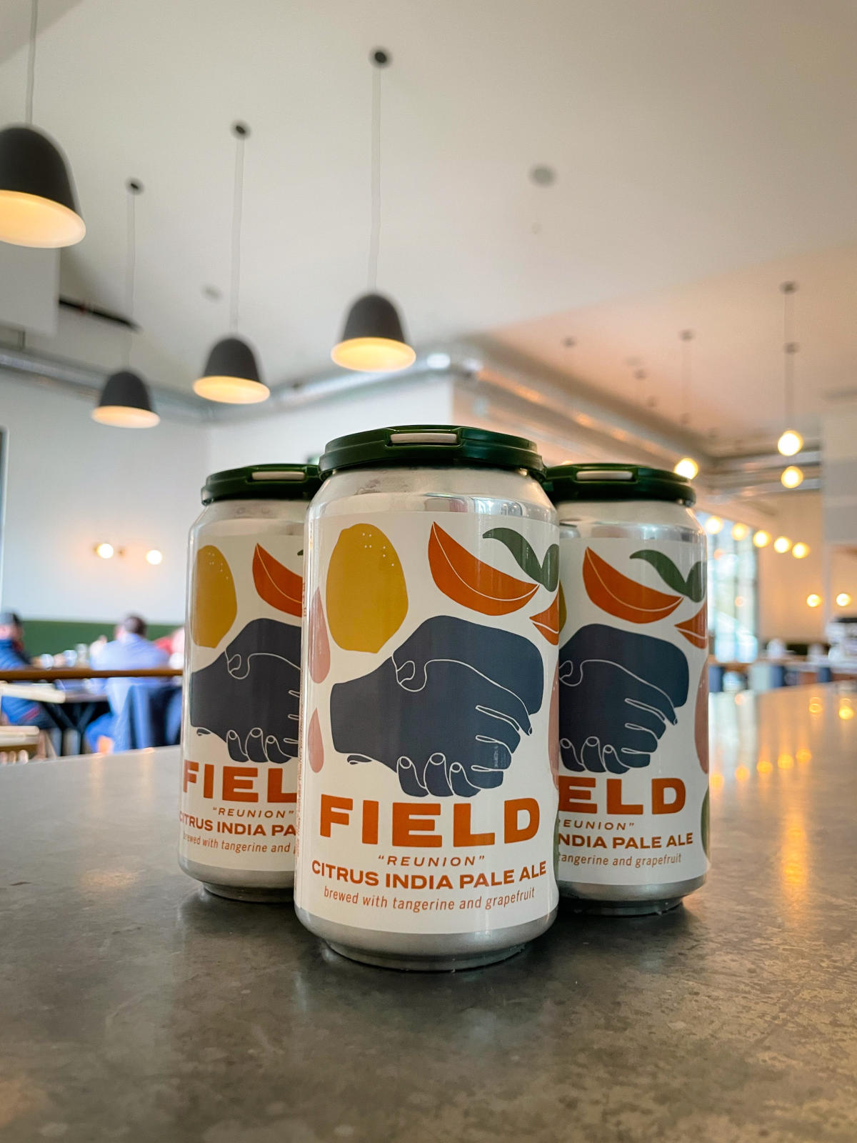 Field Brewing Westfield IN, 46074