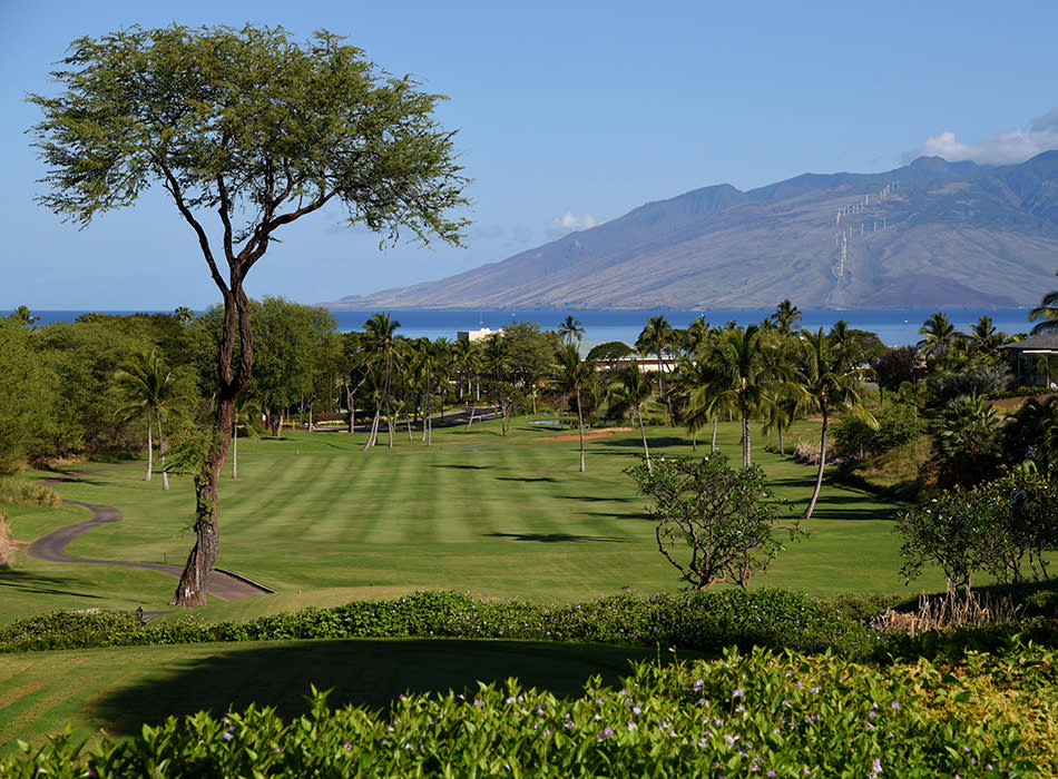 希少！90s ヴィンテージ Imperial Headwear Wailea Golf Course