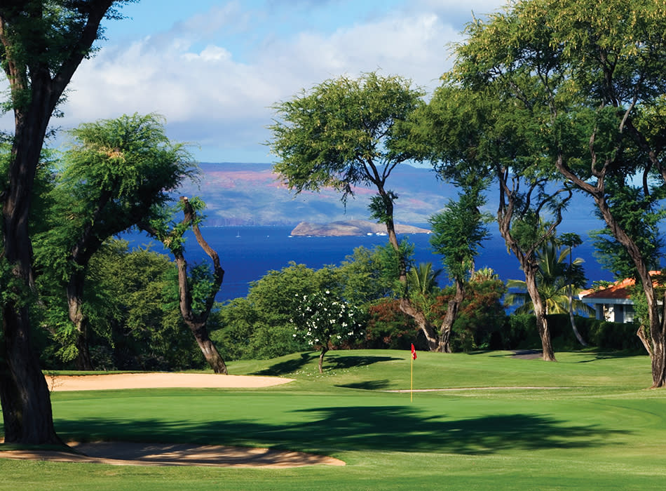 品多く Wailea Golf Course Blue - Club その他