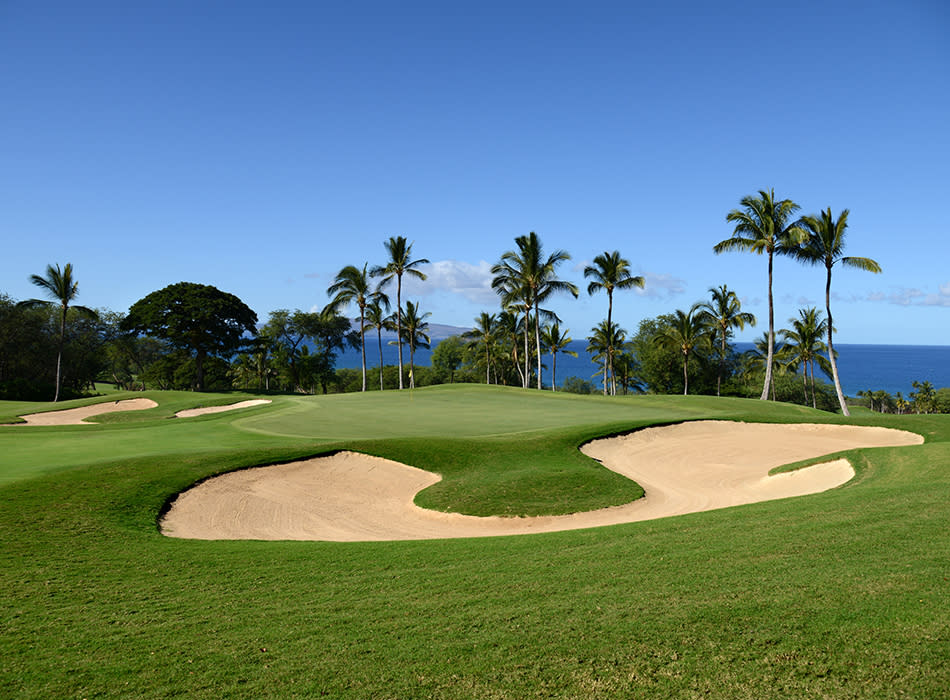 希少！90sヴィンテージ Imperial Wailea Golf Course 希少！90sヴィンテージ Imperial Wailea Golf Course