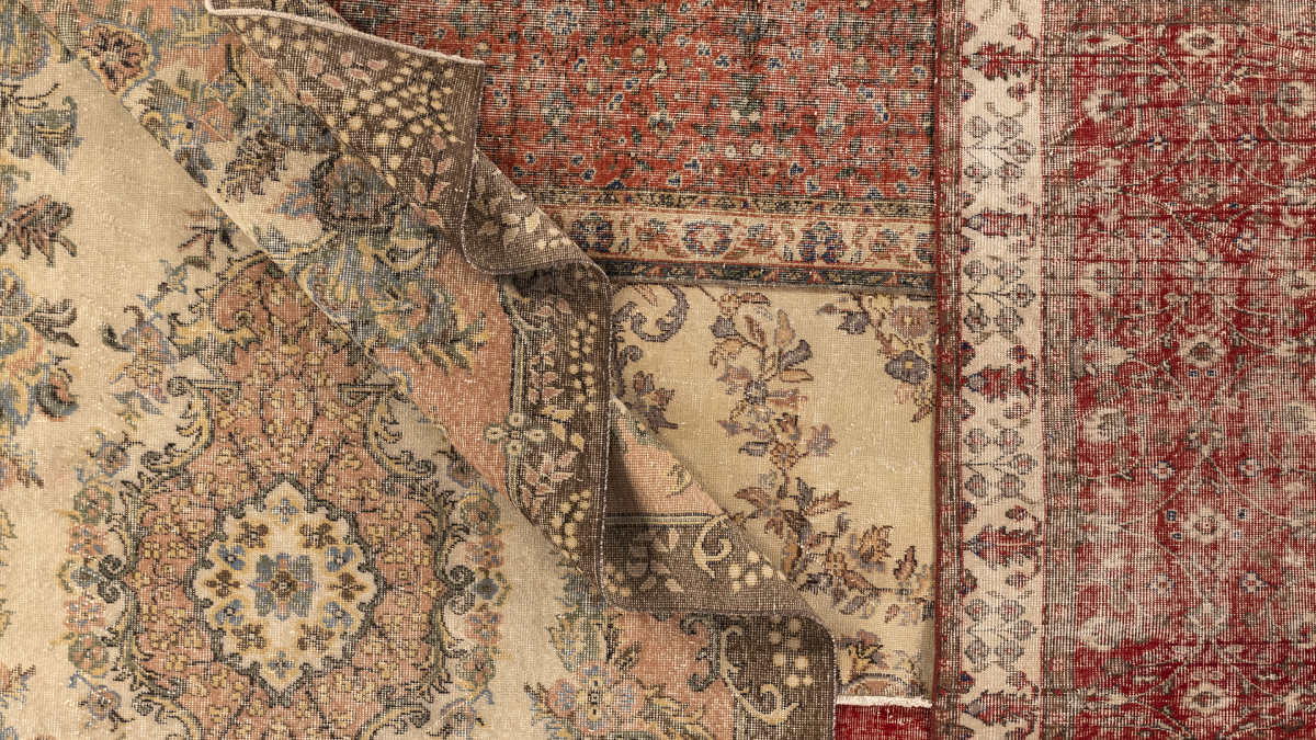 Roya Rugs