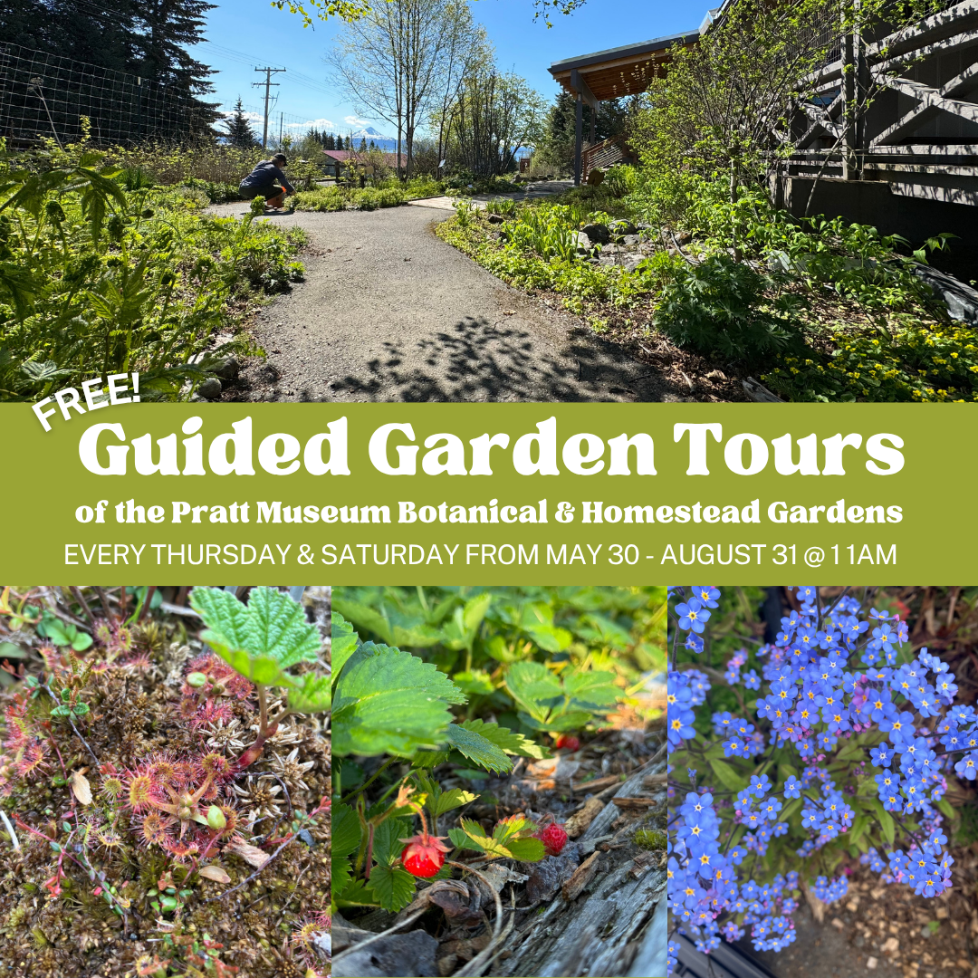 Guided Garden Tours of the Pratt Museum Botanical Gardens