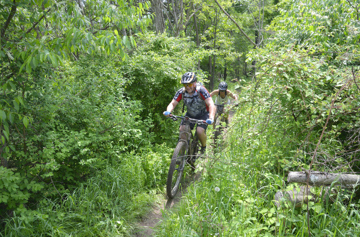 Allegrippis mountain bike trails online