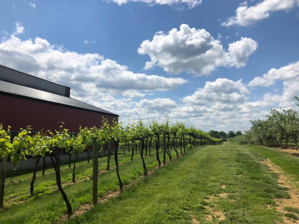 Huber's orchard and winery shop