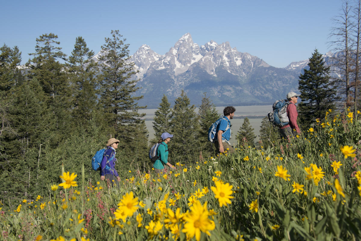 Jackson hole hiking top