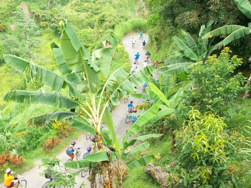 Blue mountain bicycle shop tours