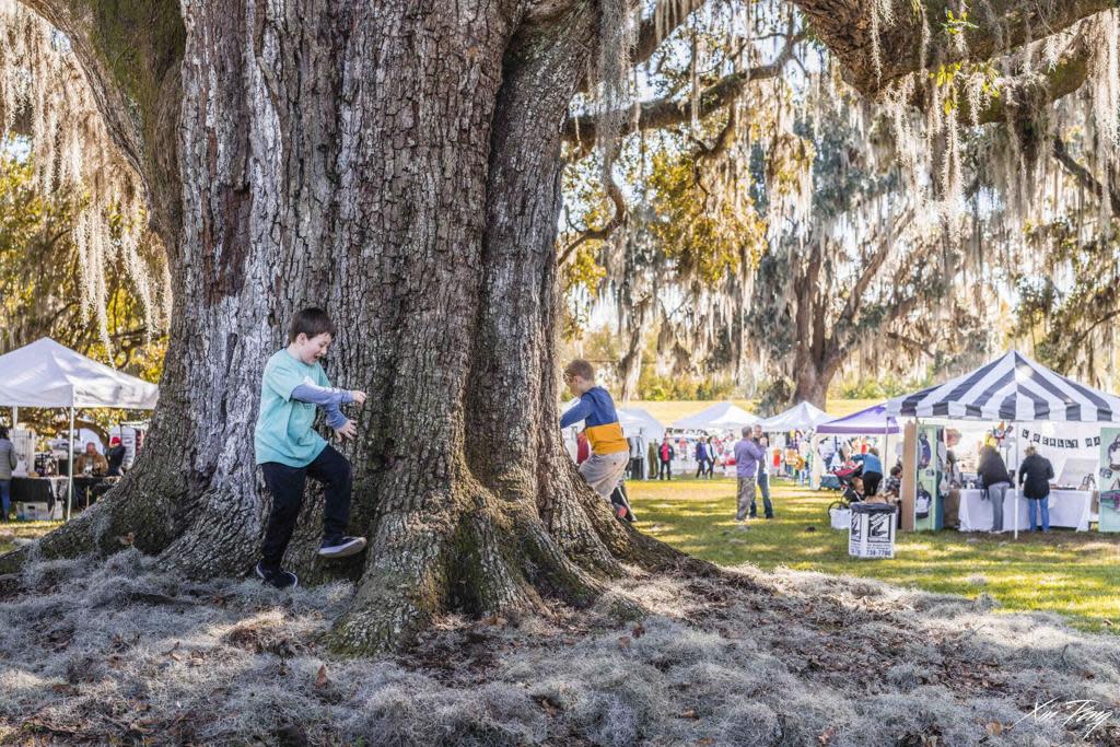 Destrehan Plantation 50th Annual Fall Festival