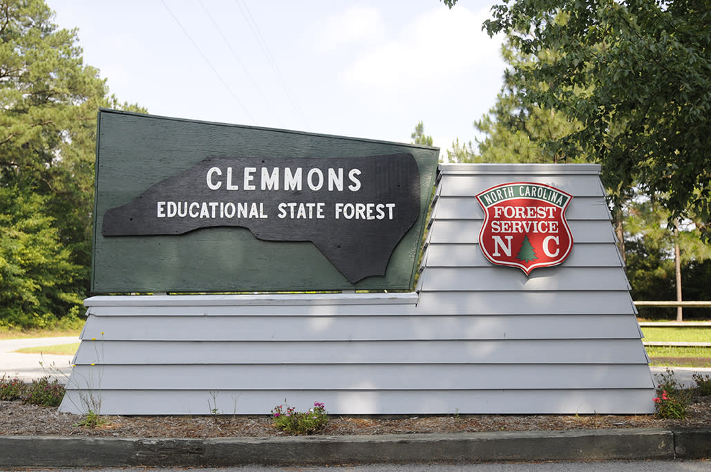 Clemmons Educational State Forest