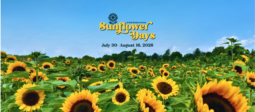 Discover Kalamazoo | Sunflower Days 2026