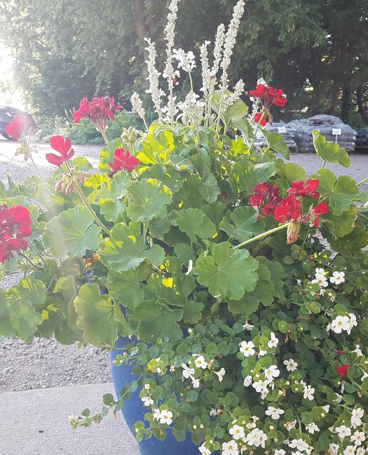Grimm's Gardens, LLC - Hiawatha KS, 66434