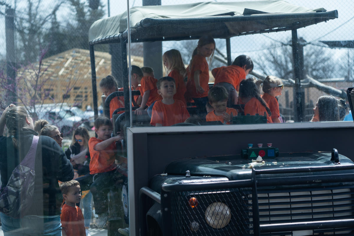 Animals-and-Guests-at-