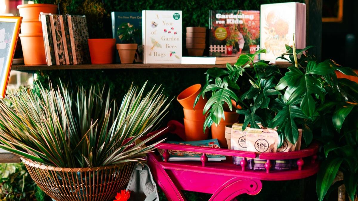 GROW Giesen Plant Shop - Wichita KS, 67202