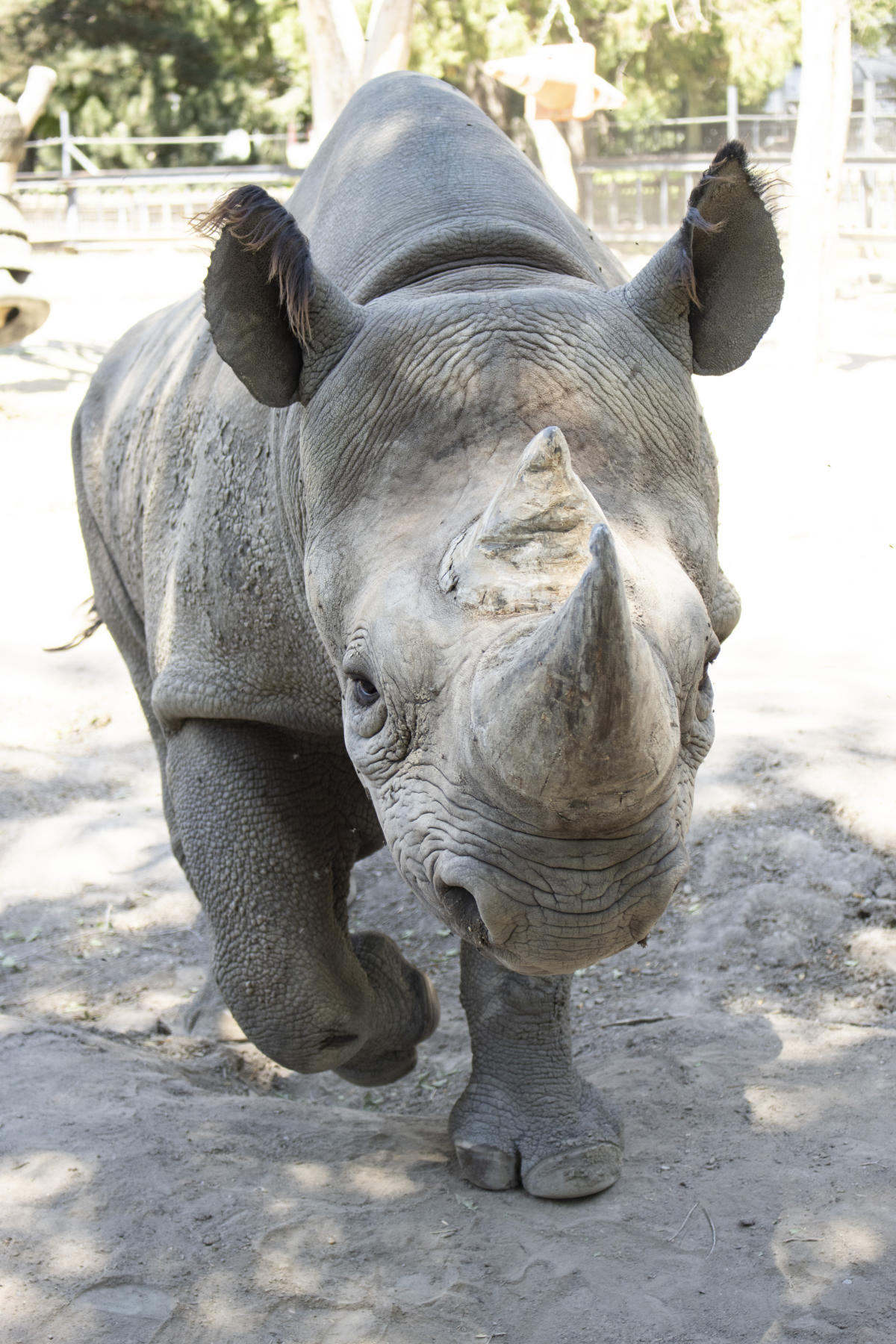 Lee Richardson Zoo & Safari Shoppe - Garden City KS, 67846