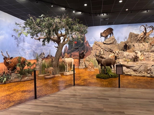 Whitetails & Wildlife Museum - Humboldt KS, 66748