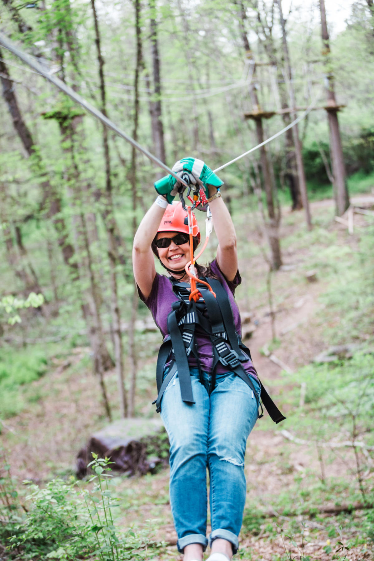 Navitat Knoxville | Knoxville, TN