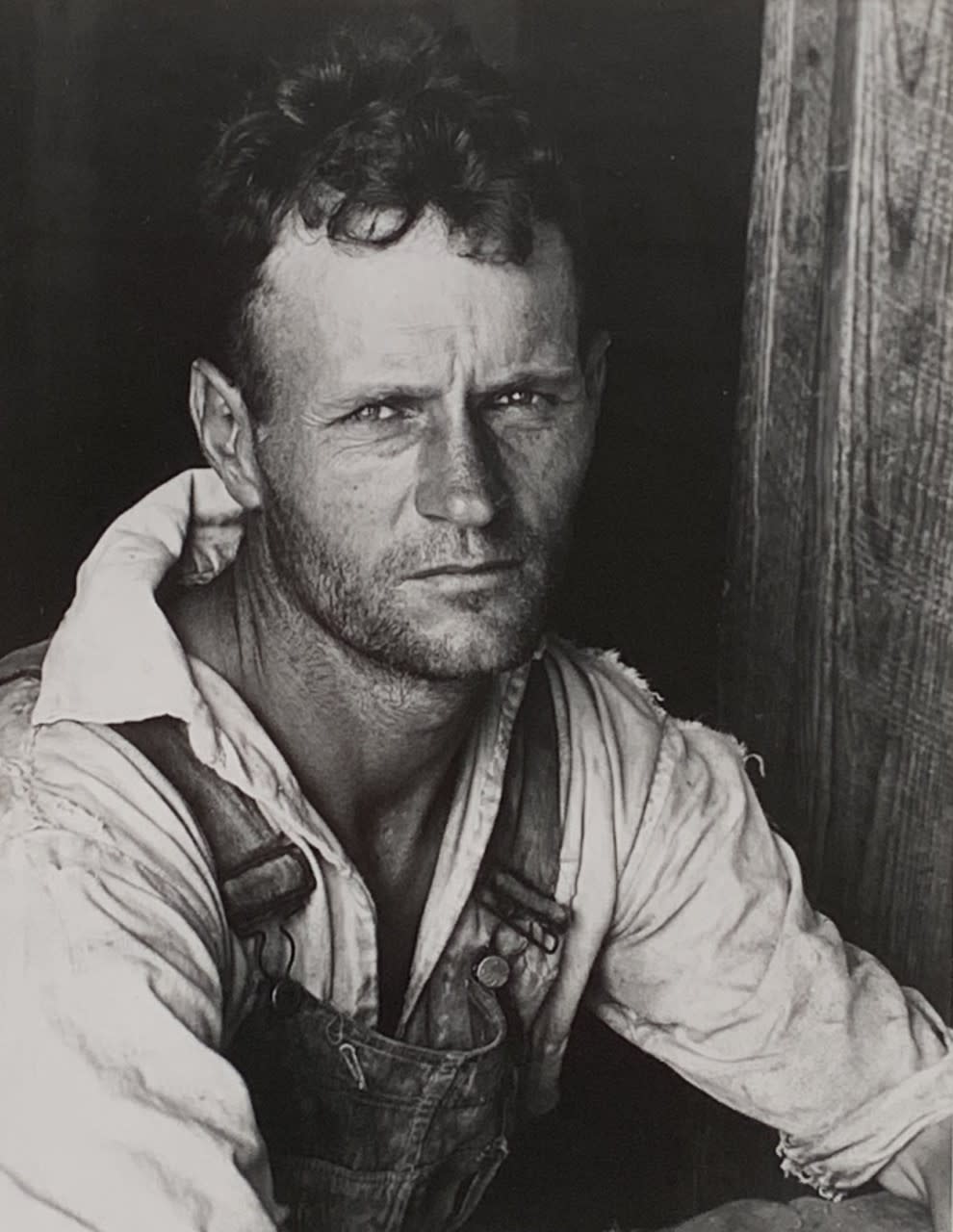 Walker Evans | Knoxville, TN