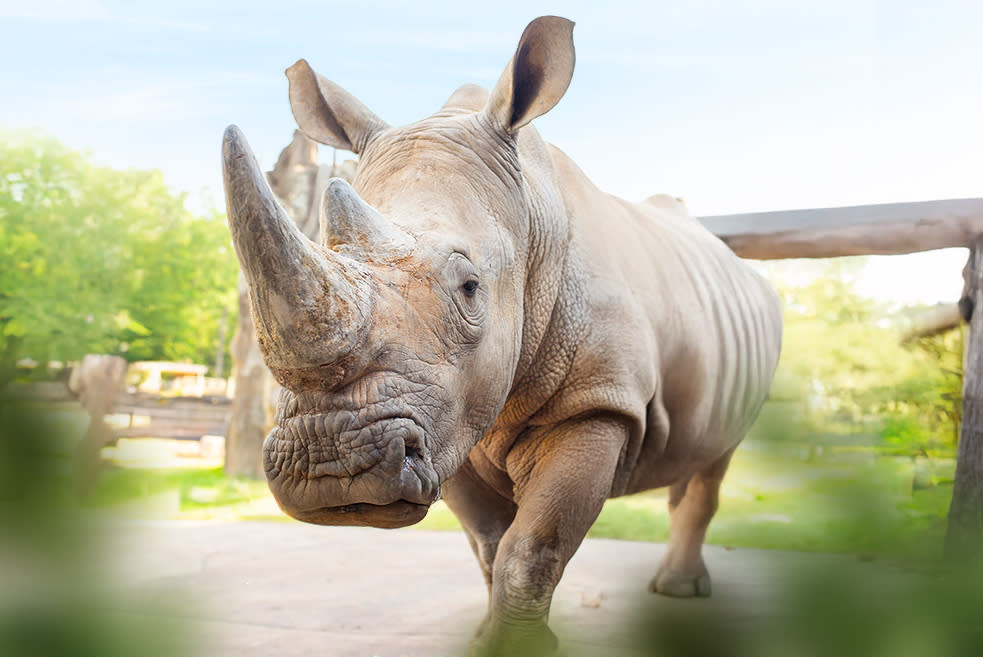 Zoo Knoxville | Knoxville, TN