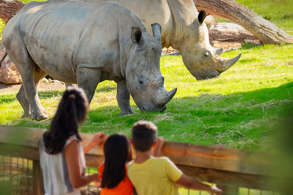 Zoo Knoxville | Knoxville, TN