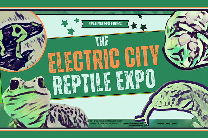 Reptile sales city location