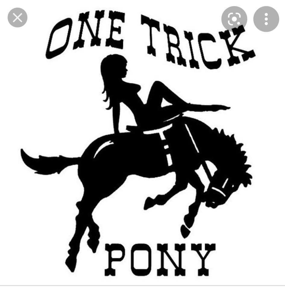 洋楽 High Horses & One Trick Ponies One Trick Pony
