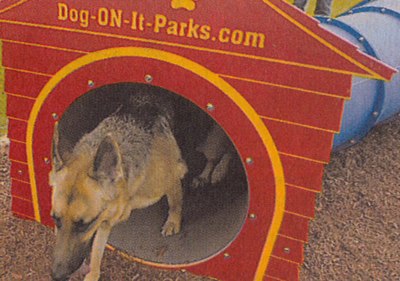 Park Exercise Equipment Playground for Dog - China Dog Playground