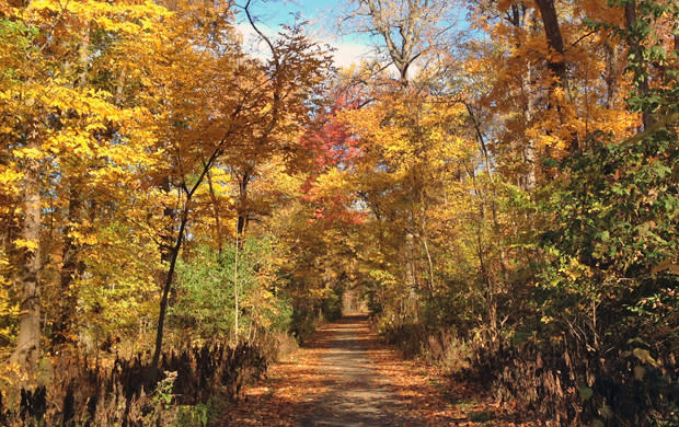 Sheldon Road Trail