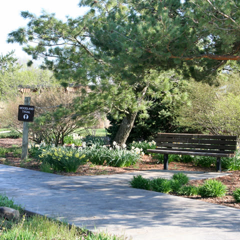 James H. McBride Arboretum