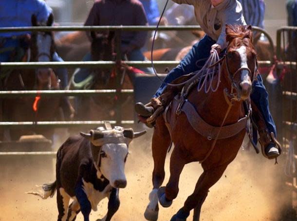 RIDE - 【美品】 2016-17 RIDE RODEO RAWLINGS Ride Rodeo 2016-2017 |