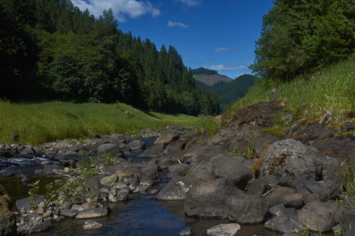 Goodman Creek Trail 3461.1