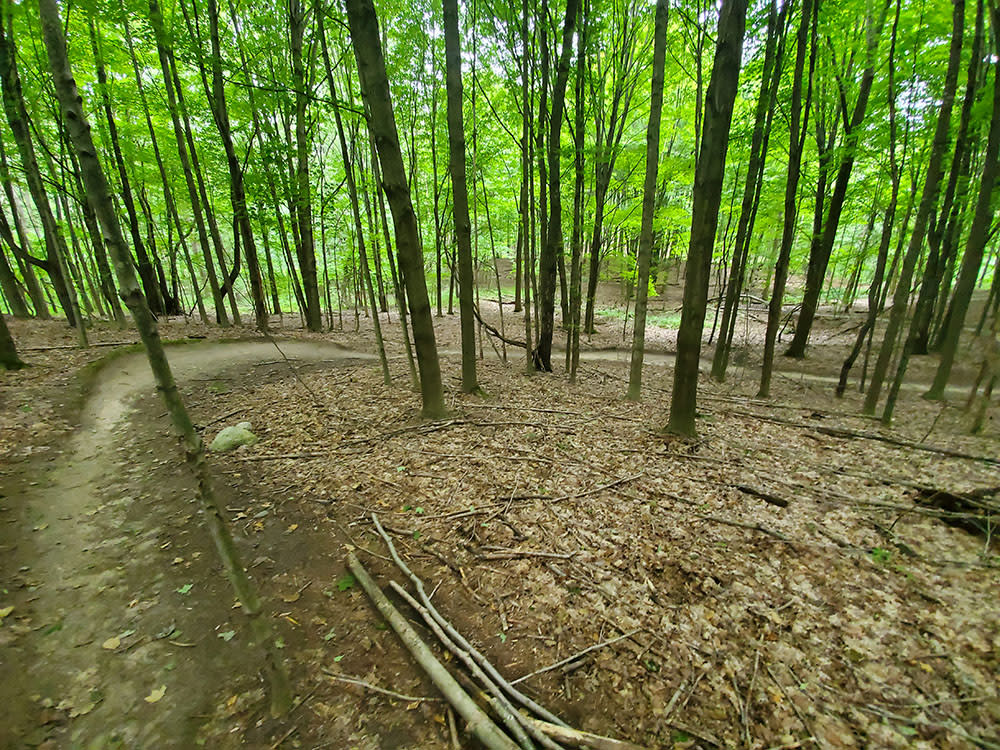 Anderson mountain bike trail 2025