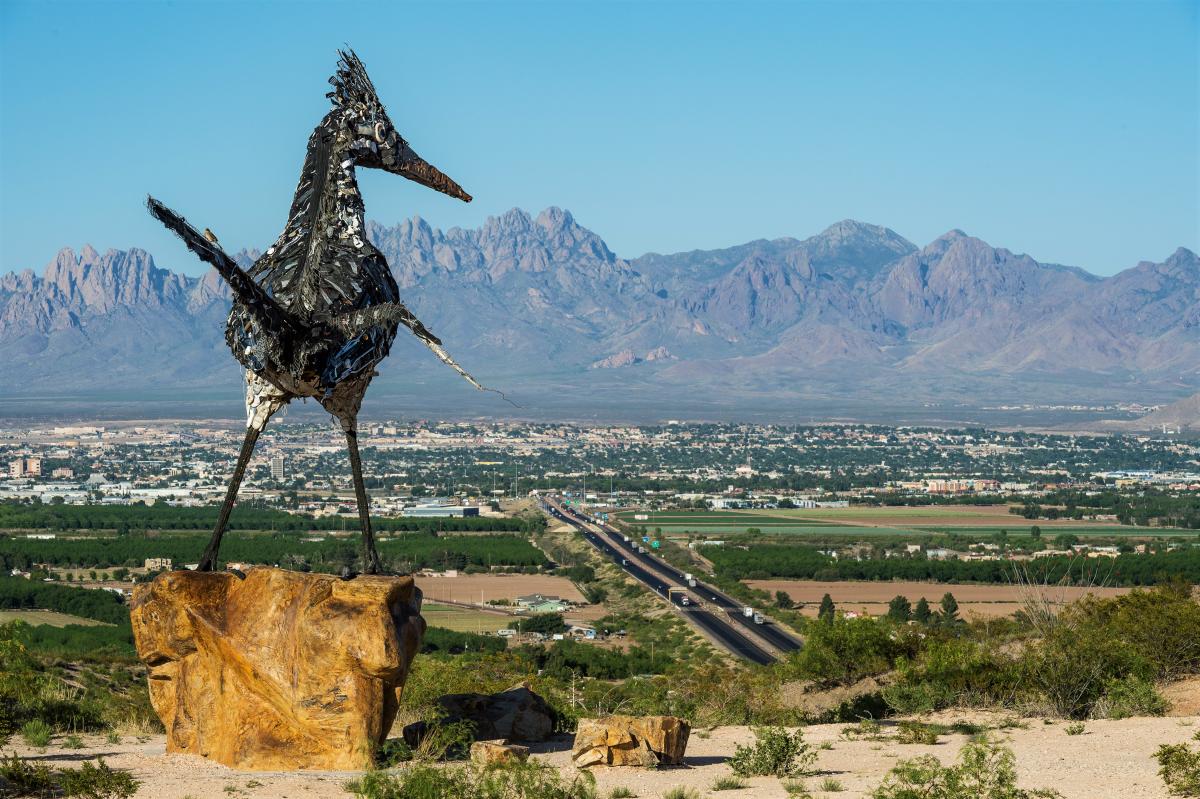 Recycled Roadrunner