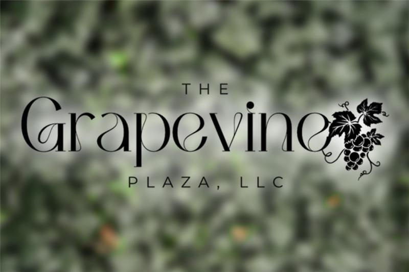The Grapevine Plaza