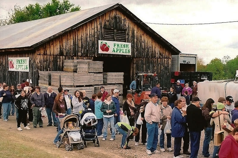 Delmont Apple 'N Arts Festival, Inc