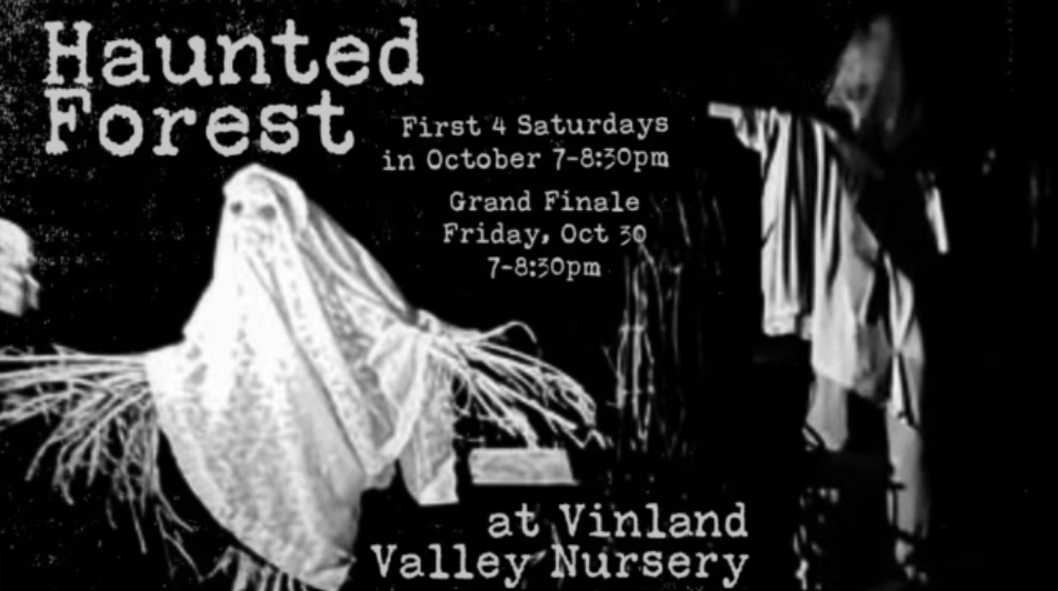 公式法被【幽谷霧子】(6thLIVE TOUR ver.) haunted-forest_41D74C06-E100-