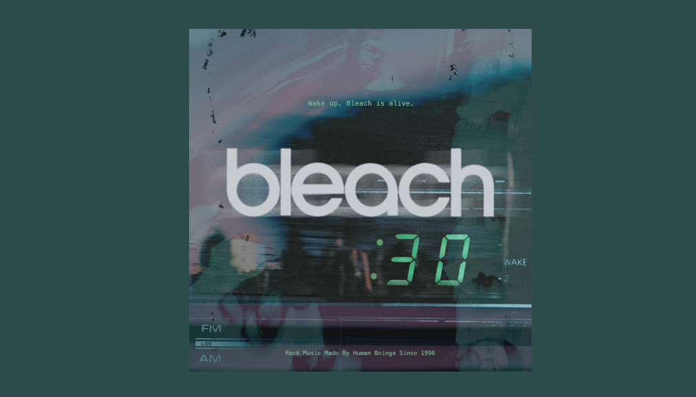 Bleach 30 Year Anniversary