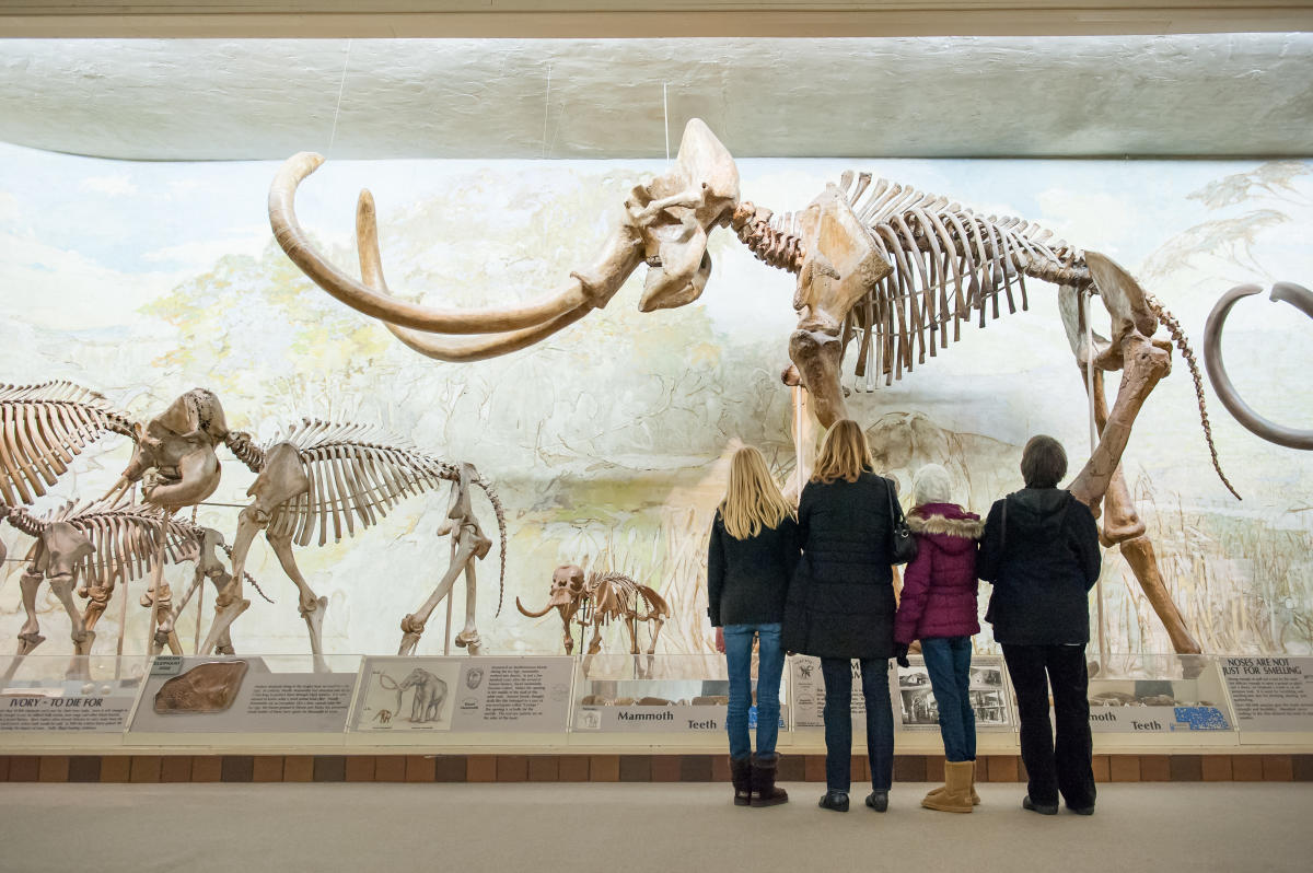 Morrill Hall