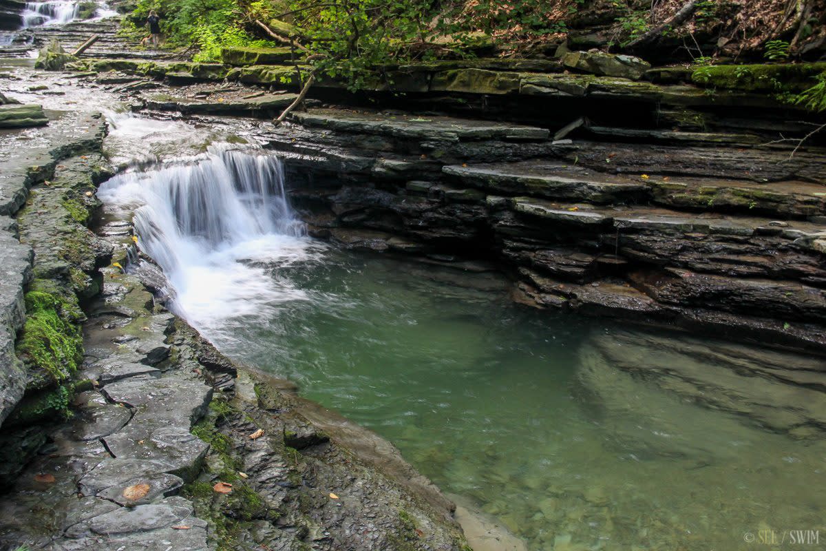 Stony Brook Attraction