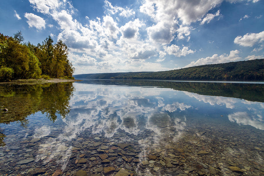Hemlock-Canadice State Forest